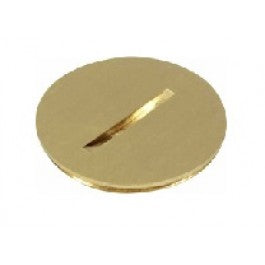 Orbit RP-100 1" Round Plug for R1G & R2G Floor Box Covers - Brass or Stainless Steel