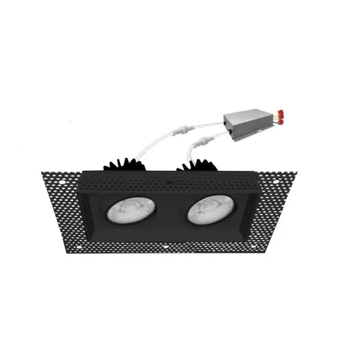Envision 4" Double Head Downlights, 120V, Selectable CCT, Trim less, Black