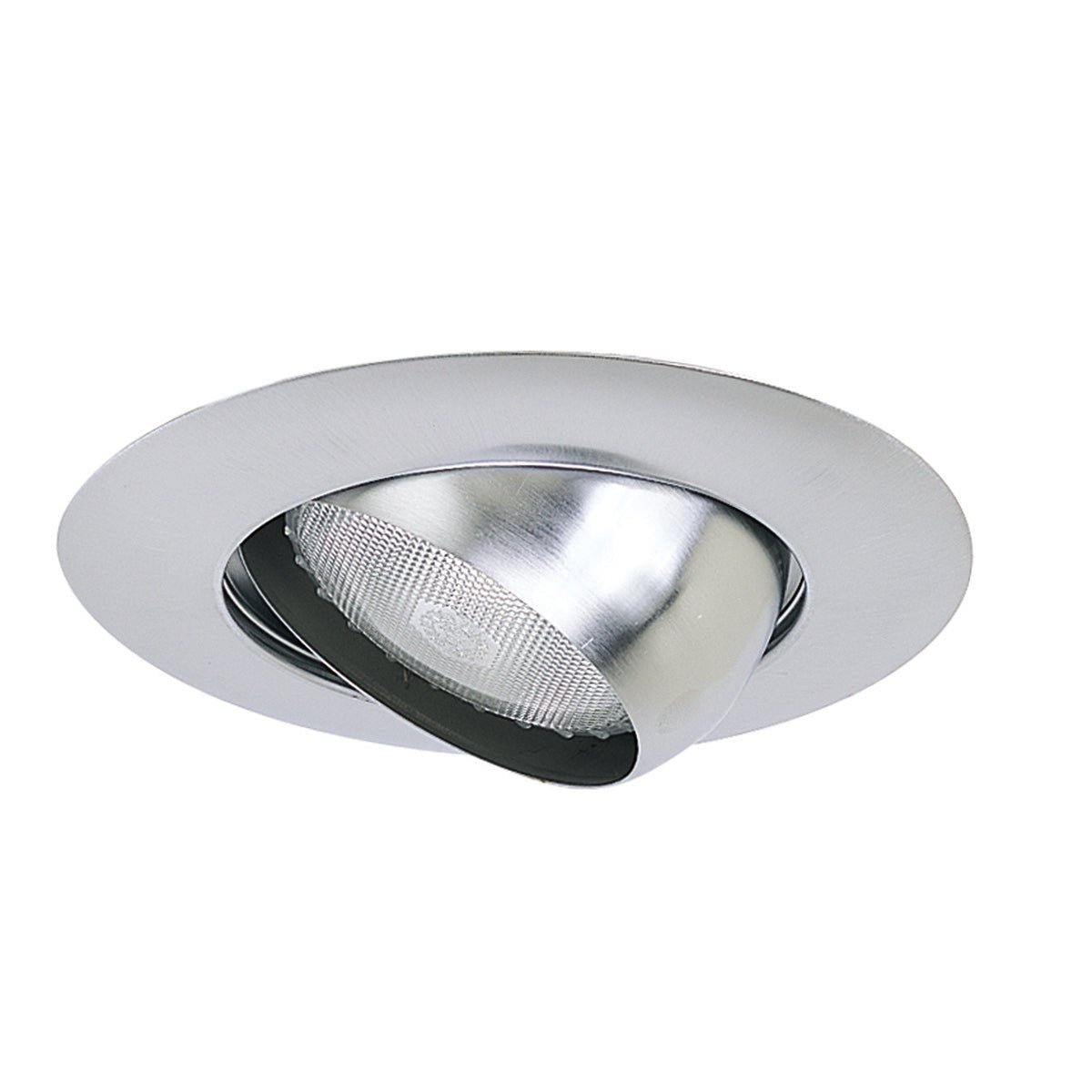Nora Lighting NT - 28N 6" BR/PAR30 Eyeball w/ Metal Trim, Natural Metal - Sonic Electric