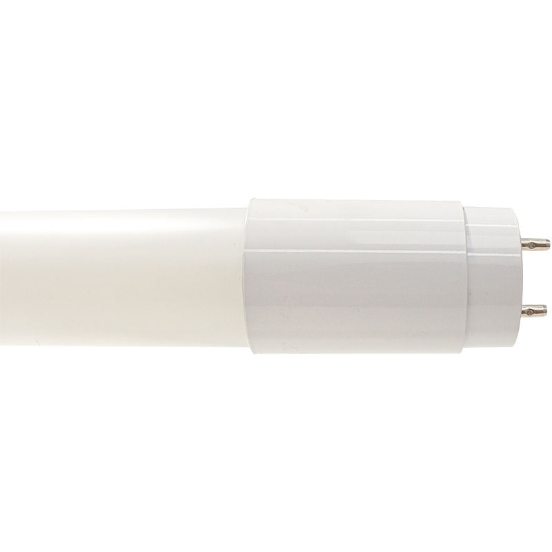 Westgate T8-4FT-TYPB-17W-40K-F 4Ft T8 Type B Glass Lamp