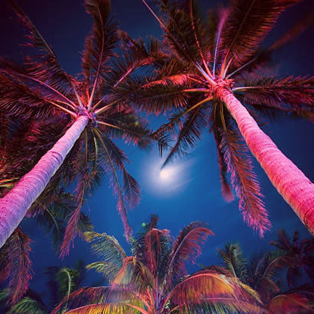 ABBA 12V 30W Aluminum RGBW LED Spot Light with Remote Control - Sonic Electric