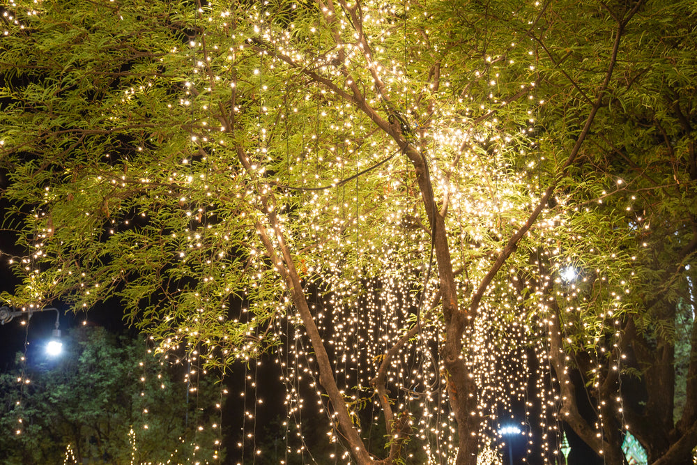 Outdoor Tree Lighting Ideas For A Warm And Inviting Ambiance