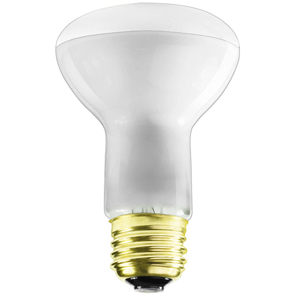 GE R20 50W Fluorescent Light Bulb (2 Pack)
