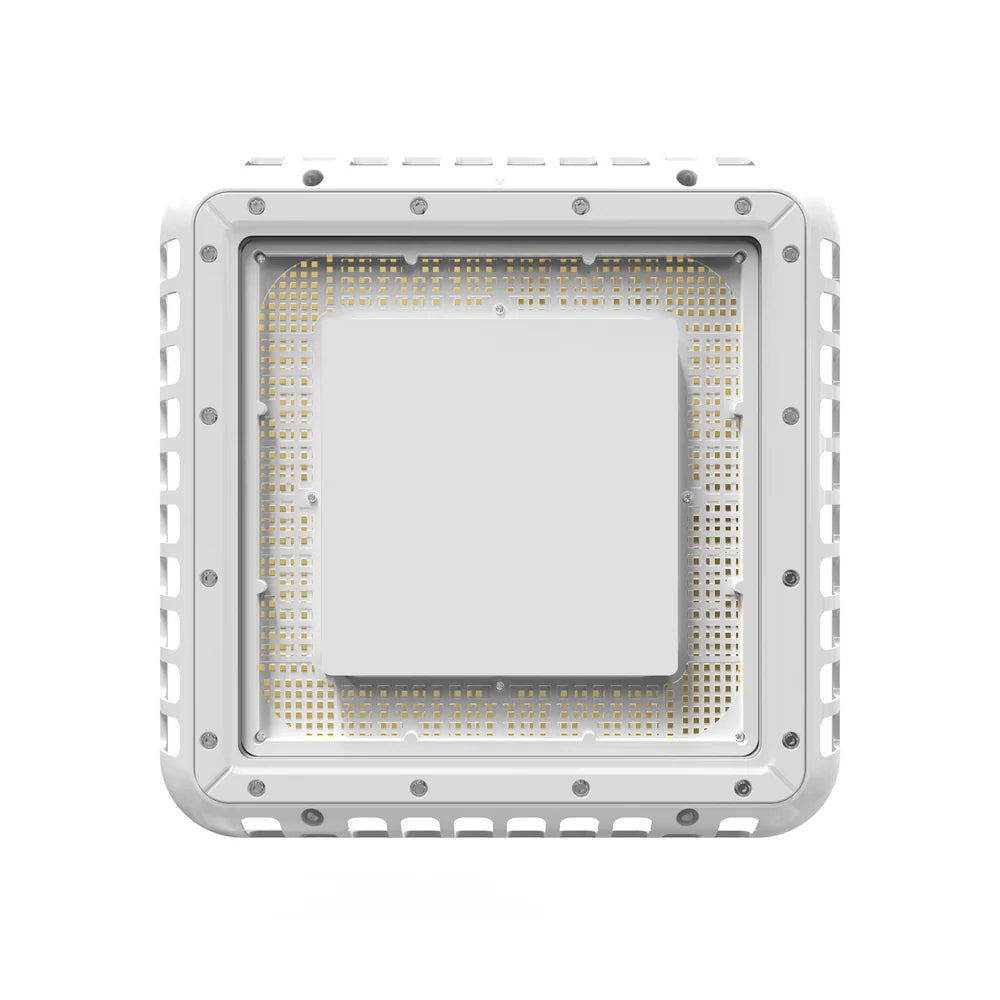 Malibu PowerArc™ 200W LED Garage/Canopy Light - Cool White, 5000K