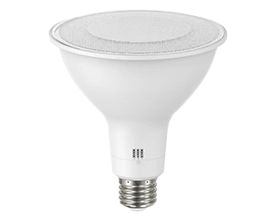 RAB 19W LED PAR38 Lamp - CCT Selectable - 1,800 Lumens - 120V