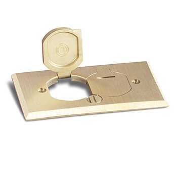 Lew Electric RRP-2-LRR Replacement Plate Rrp-2-lr/swb-2-lr Brass