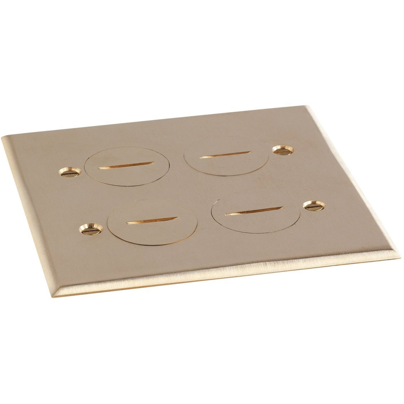 Lew Electric RRP-4BP Brass Plate Only for Swb-4