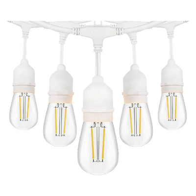ABBA Lighting USA SL101-WH 48FT LED Low Voltage Bistro String Lights, 12V AC/DC, 3000K 20 Edison Bulbs, IP65 Waterproof - White
