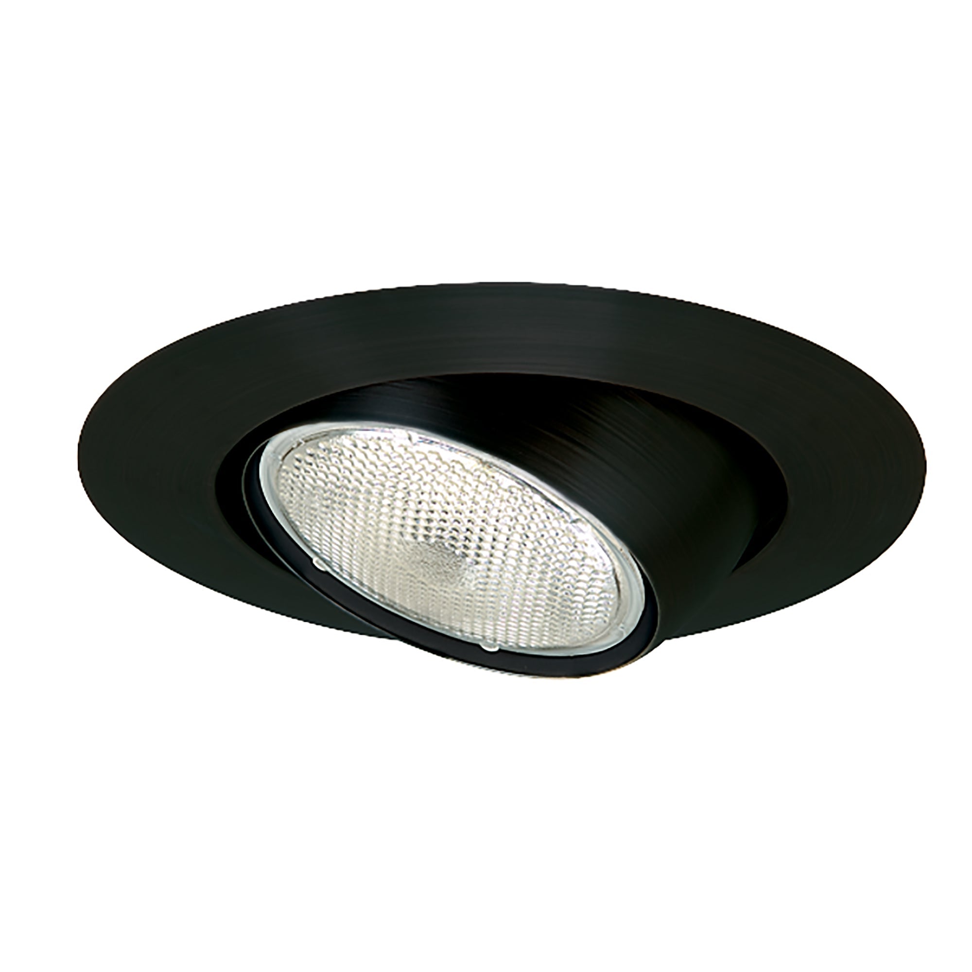Nora Lighting NT - 28B 6" BR/PAR30 Eyeball w/ Metal Trim, Black - Sonic Electric