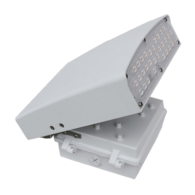 Westgate LWA-12CW-WH 12W LED Cutoff & Adjustable Wall Pack - White