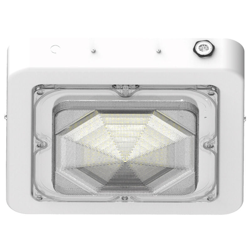 Westgate CXES-30-60W-MCTP-WH Square New Concept Garage and Ceiling Light - White