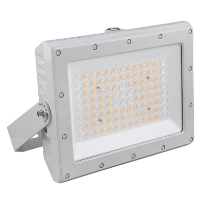 Westgate EXPF-240W-50K Hazardous Location Round Flood/Highbay Light - Gray