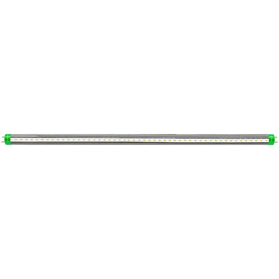 Westgate T8-EZ6-GS-4FT-18W-50K-C 4' LED T8-EZ6 Glass Tube Lamp Glass - Clear Glass (12 Pack)