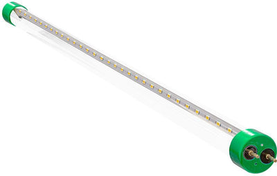 Westgate T8-EZ6-GS-2FT-10W-50K-C 2' LED T8-EZ6 Glass Tube Lamp Glass - Clear Glass