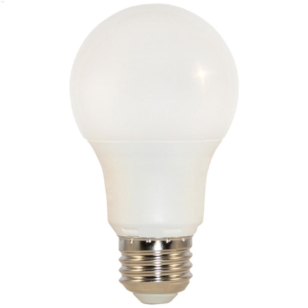 Westgate A19 - 40PK - 9W - 50K - D, Westgate A19 240D 9W LED Lamp - Multi - Pack - White - Sonic Electric