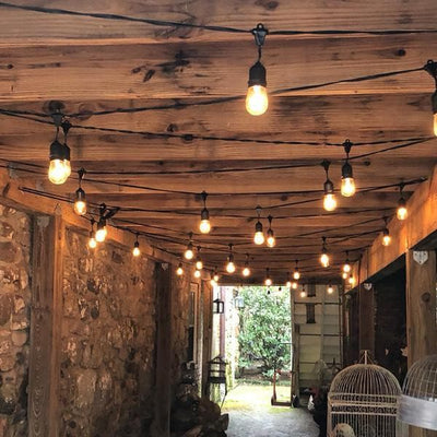 ABBA 12V 30W 48 Ft. Bistro String Lights - 3000K, Warm White - Sonic Electric