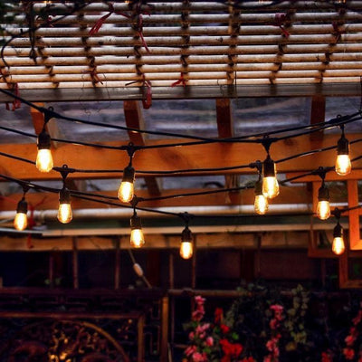 ABBA 12V 30W 48 Ft. Bistro String Lights - 3000K, Warm White - Sonic Electric