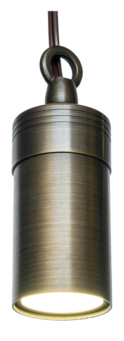 ABBA 12V Dark Brass Hanging Spot Light with 40" Chain - Bulb Sold Separately - Sonic Electric