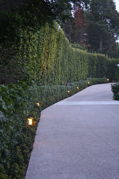Abba 3W 12V Stainless Steel LED Hanging Marble Path Light - 3000K, Warm White - Sonic Electric