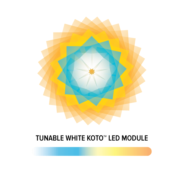 Elco Tunable White Koto™ LED Module with Mobile Connectivity - Sonic Electric