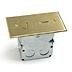 Lew Electric SWB-2 Brass Duplex Cover - Sonic Electric