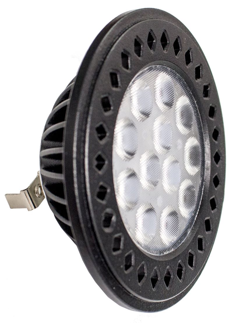 Westgate PAR36-12W-30K LED Lamp 12 Volts AC/DC Residential Lighting - Black